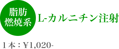 脂肪燃焼系 L-カルチニン注射 1本:￥1,020-