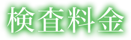 検査料金