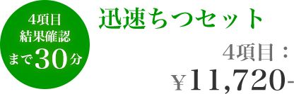 4項目結果確認まで30分 迅速ちつセット 4項目：¥11,720-